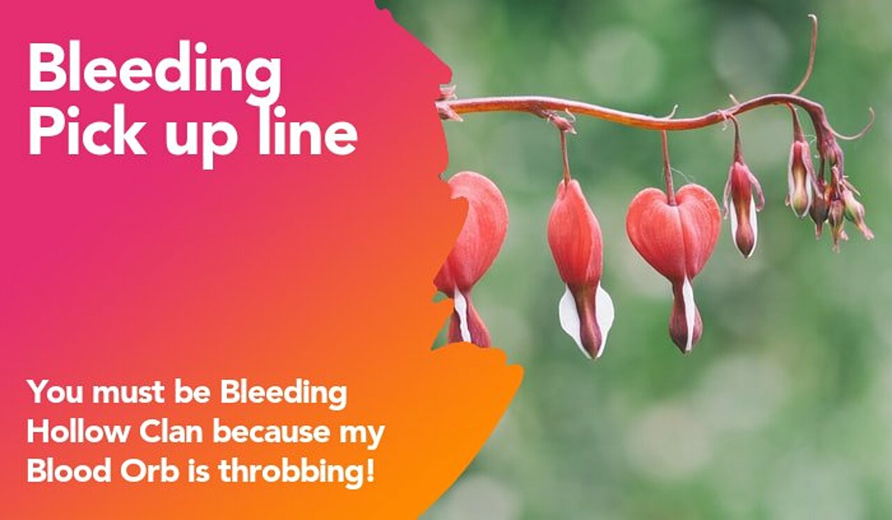 bleeding pickup line