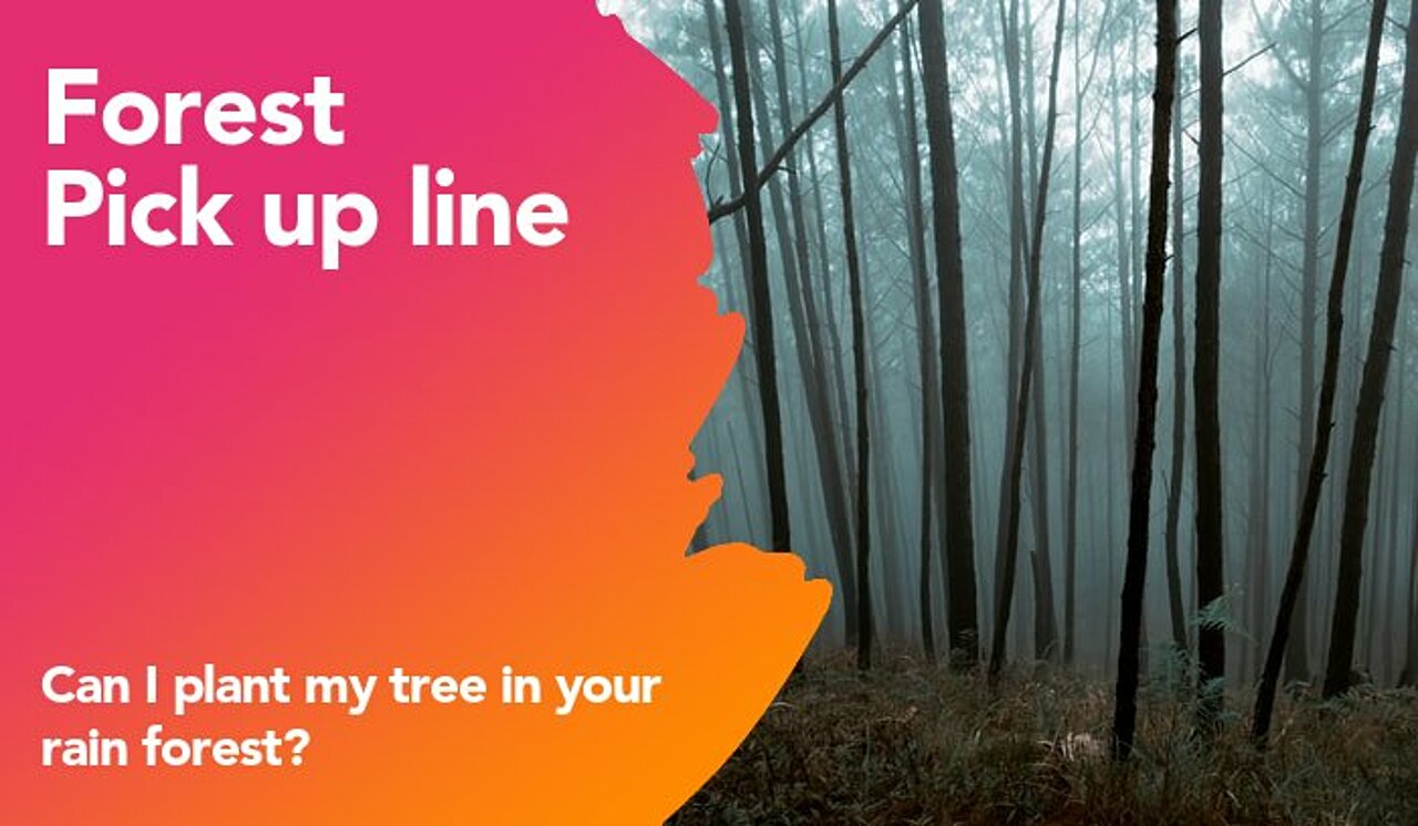 forest pickup line